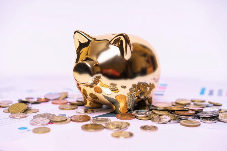 Illustration of a plant growing from coins, representing building wealth.